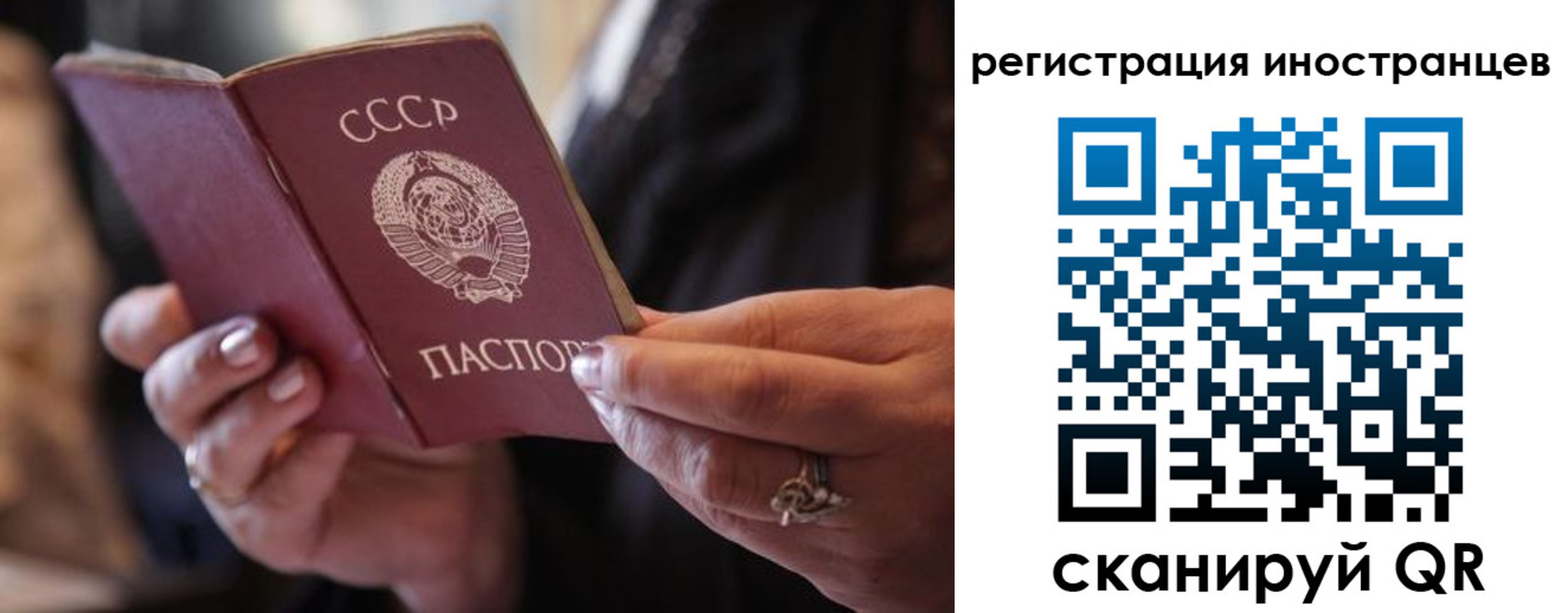 где прописаться в Данкове